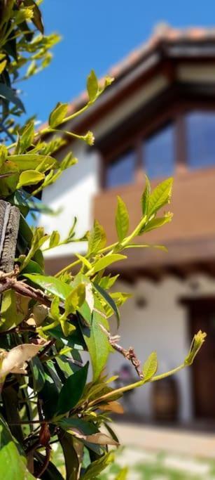 La Casa 44, Con Spa Opcional Sariego Eksteriør billede